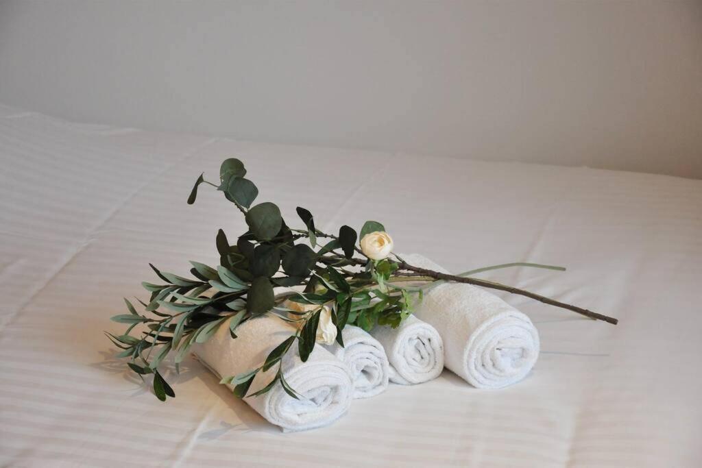 Freskenn 1, Studio 23M² Cosy & Chaleureux Appartamento Brest Esterno foto
